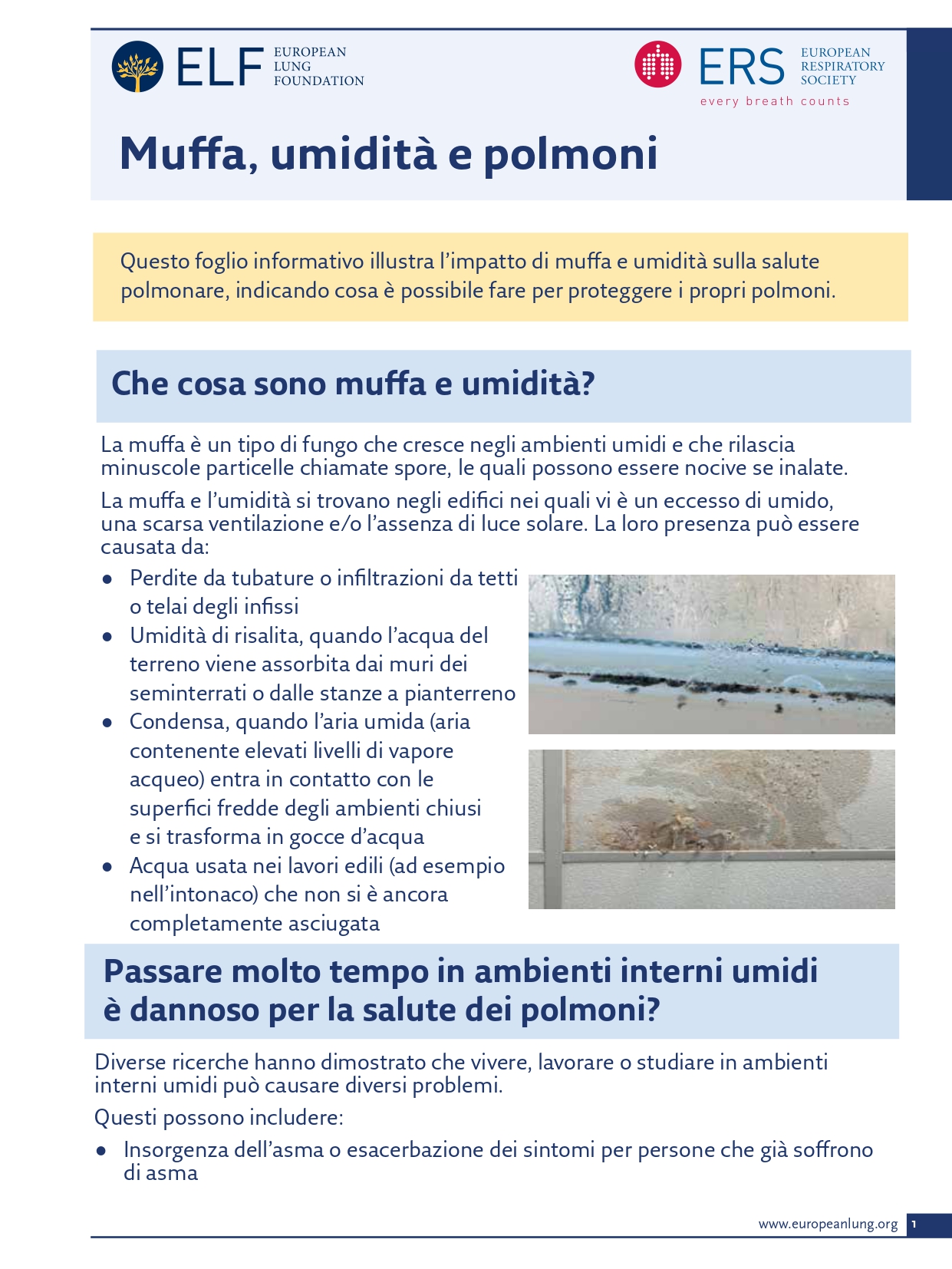 Conseguenze della muffa -1_page-0001