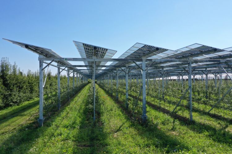 Agrivoltaico 2024