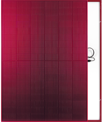 FuturaSun Red VerdePositivo